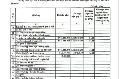 Quyết định về việc công bố công khai việc thực hiện dự toán quý III năm 2024