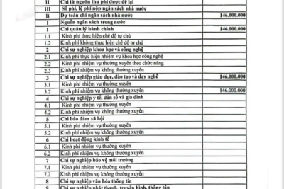 Quyết định về việc công bố công khai dự toán ngân sách nhà nước thực hiện chế độ tiền thưởng năm 2024