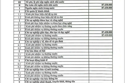 Quyết định về việc công bố công khai thu hồi dự toán ngân sách năm 2024 của trường Tiểu học Phù Vân