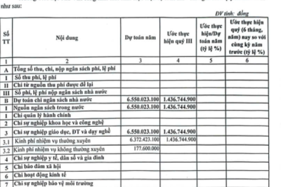 Quyết định về việc công bố công khai việc thực dự toán quý III năm 2025