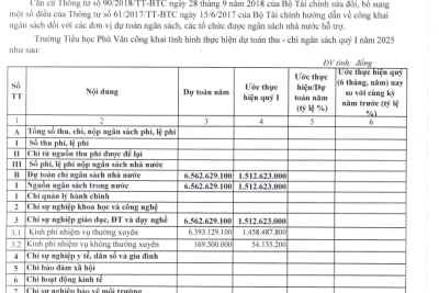 Quyết định về việc công bố công khai việc thực hiện dự toán quý I năm 2025